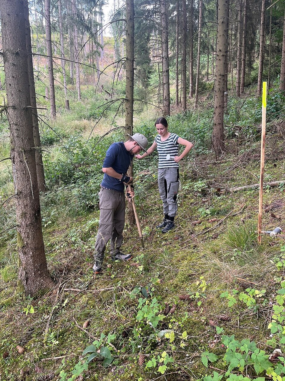 Zwei Projektmitarbeiter, bei der Installation eines Sub-Plots im Wald.