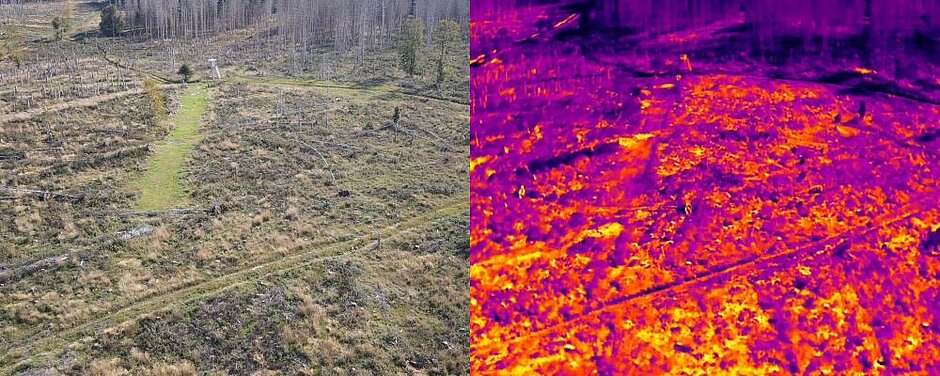 Drohnenaufnahme einer Versuchsfläche in RGB und infrarot